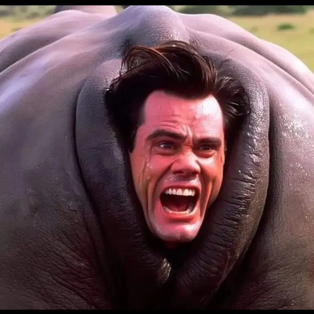 mattbirnbaum.bsky.social's profile picture