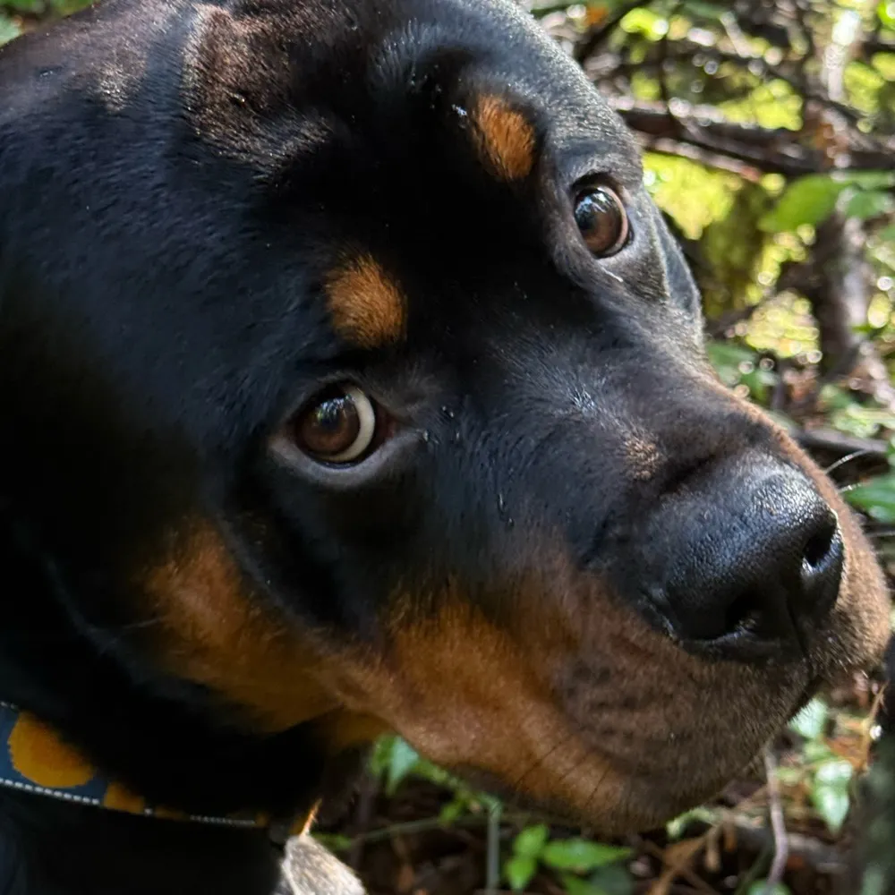 navtbrat.bsky.social's profile picture