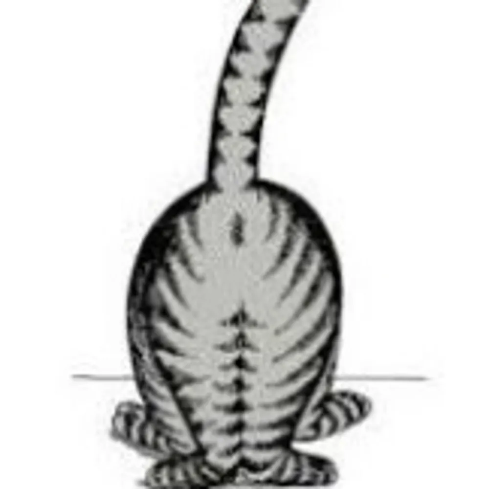 carlak.bsky.social's profile picture