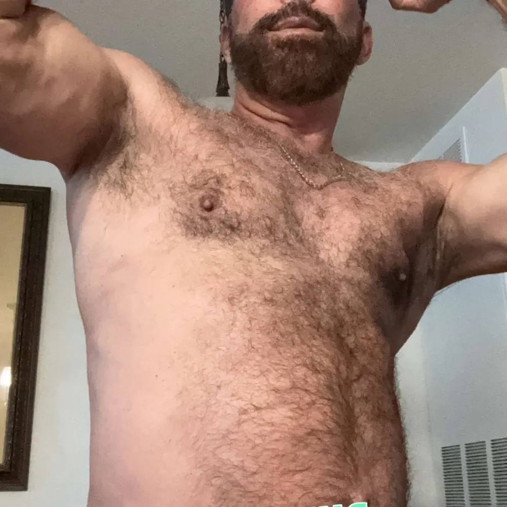 landolindo.bsky.social's profile picture