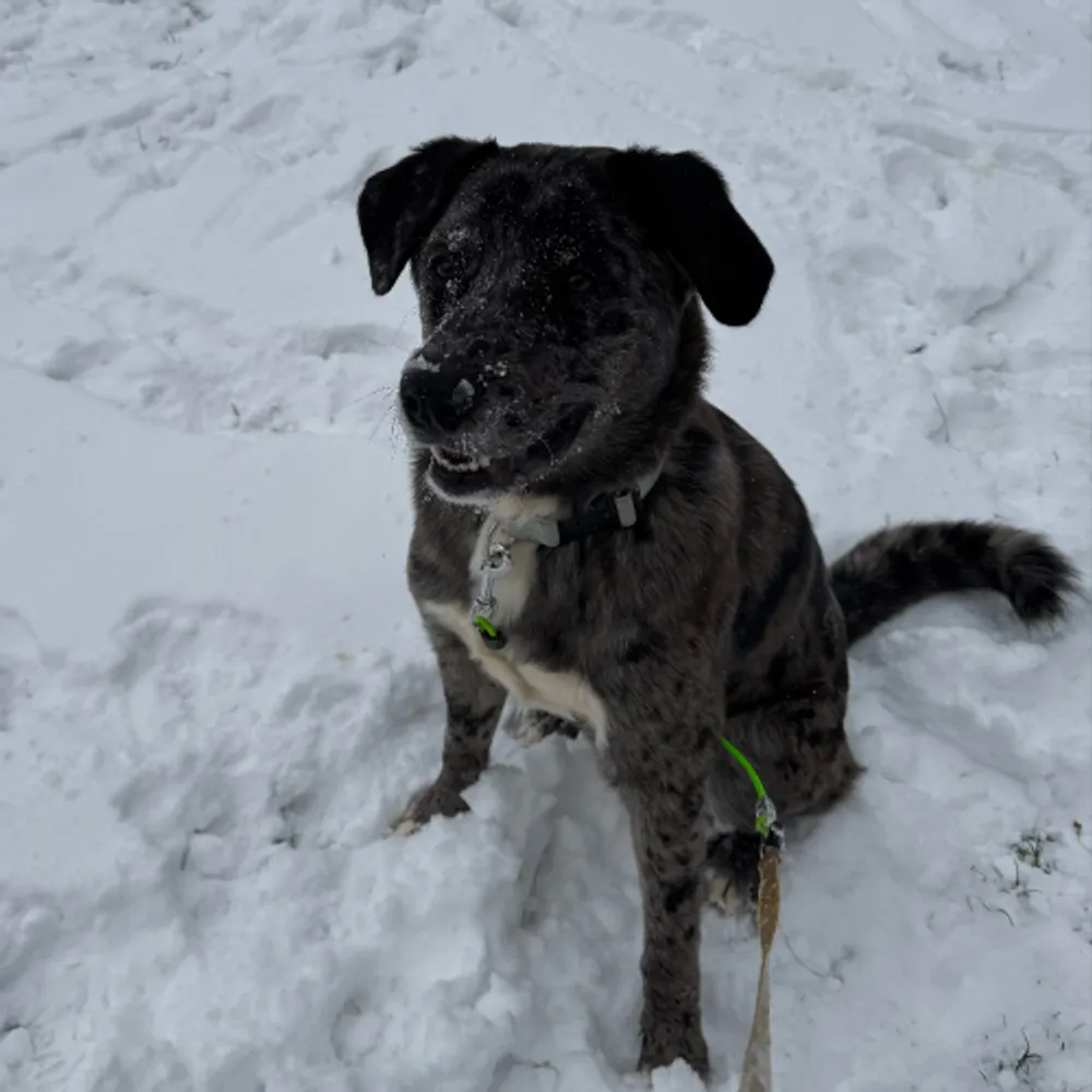 geekdoll.bsky.social's profile picture