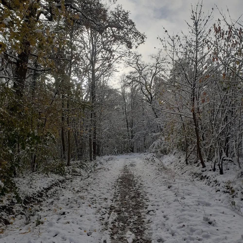 patator40000.bsky.social's profile picture