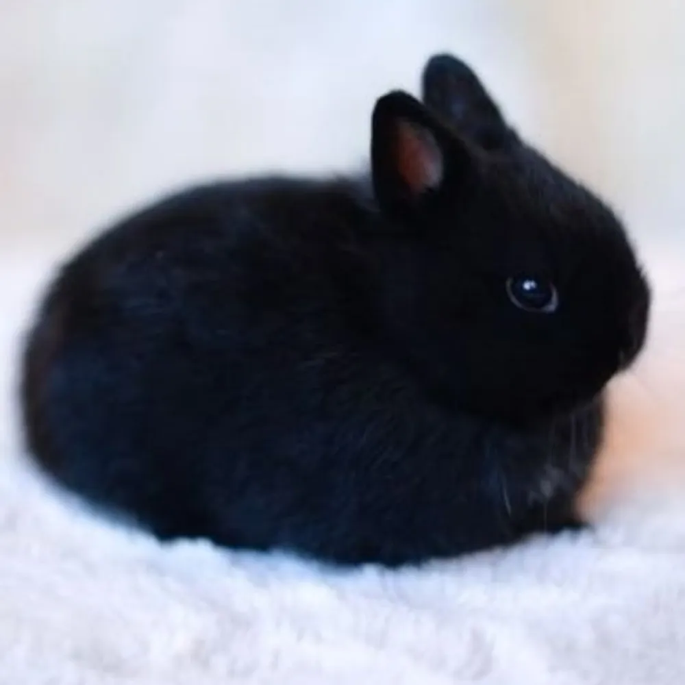 milosmith244.bsky.social's profile picture