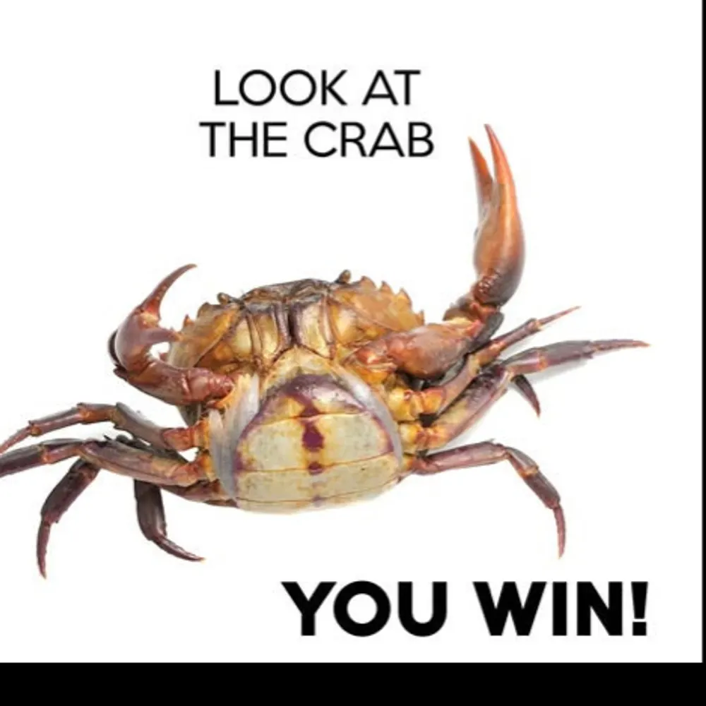 typologianista.bsky.social's profile picture