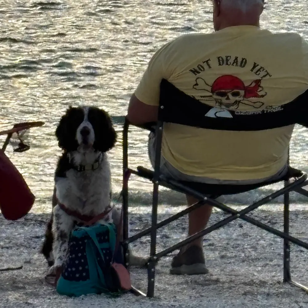 davidicw.bsky.social's profile picture