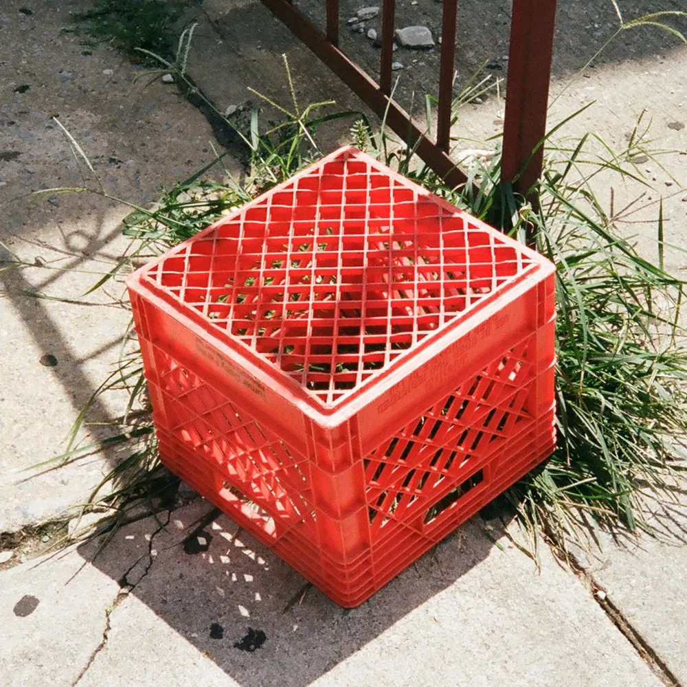 loitering.bsky.social's profile picture