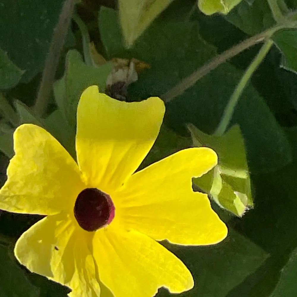 kellyh-c.bsky.social's profile picture