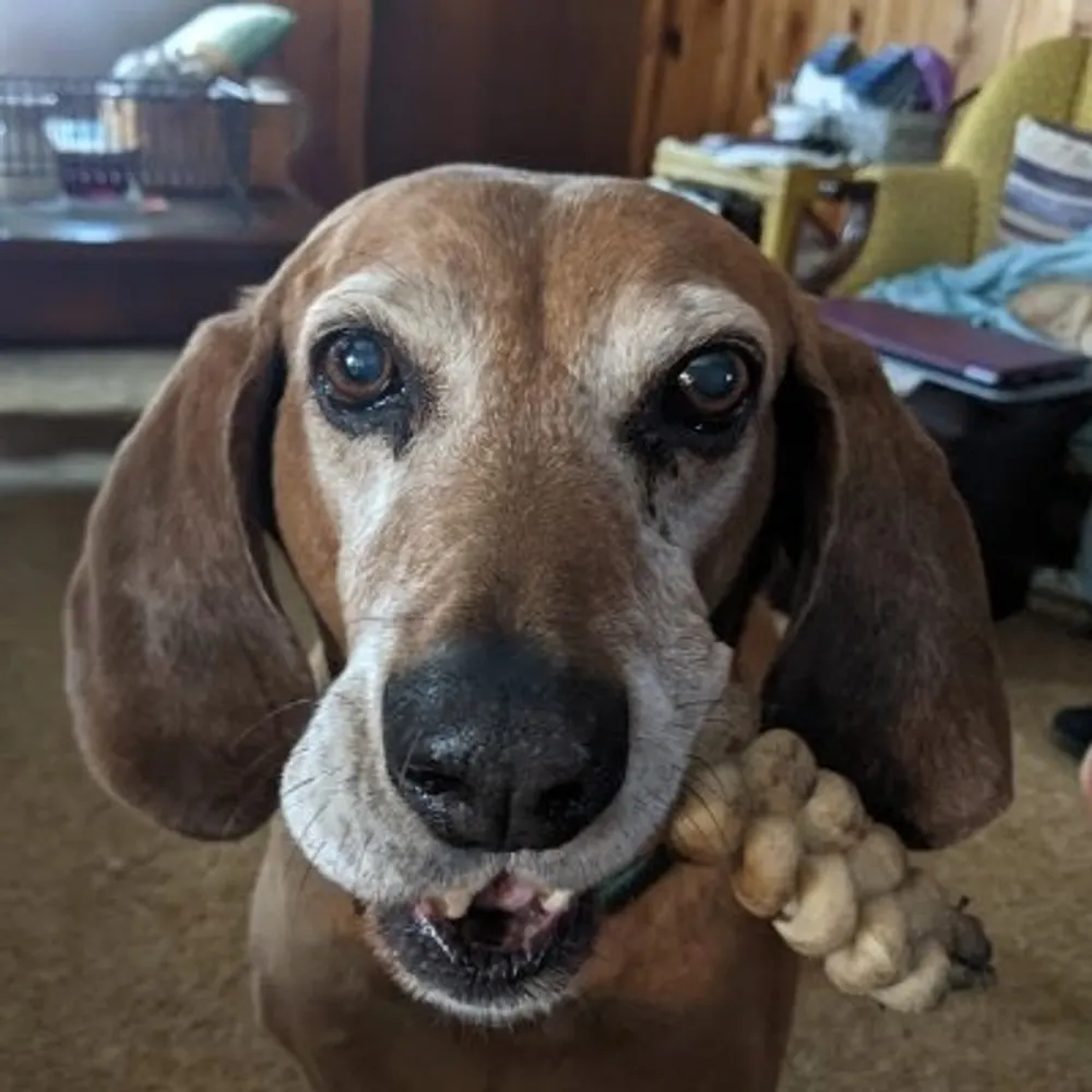 goterider.bsky.social's profile picture