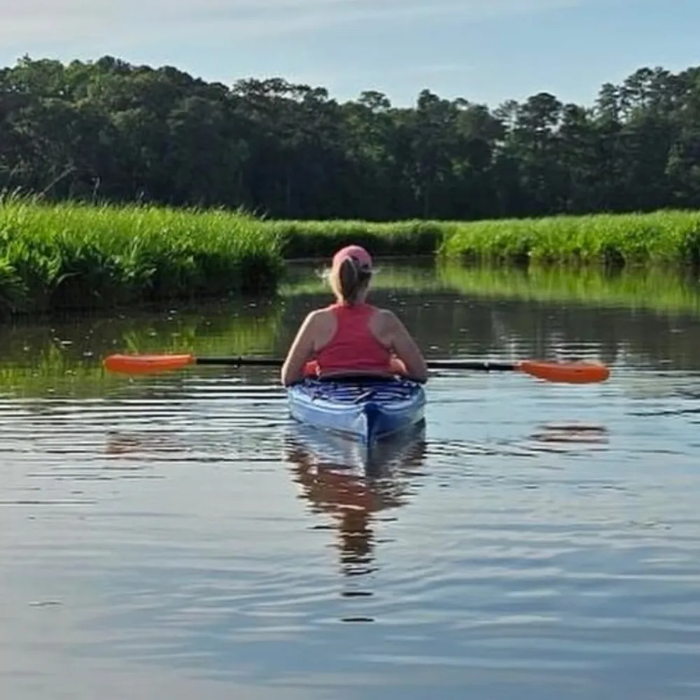 lincolnskayak.bsky.social's profile picture