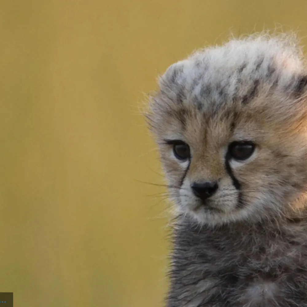 midwesternmom.bsky.social's profile picture