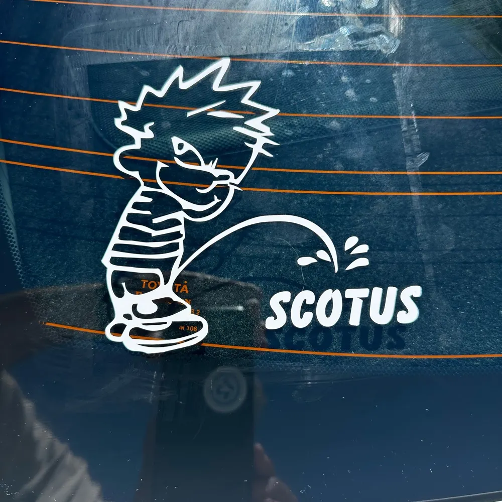 randomtruffle.bsky.social's profile picture