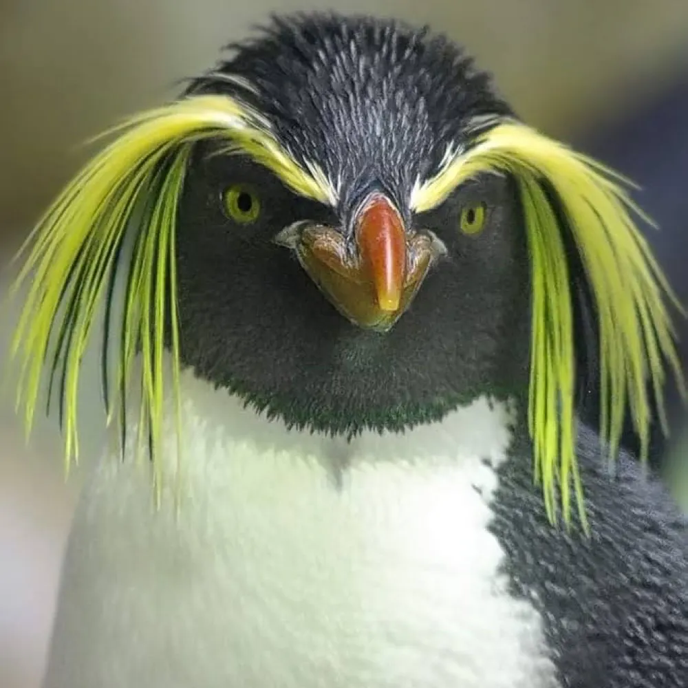 littlehollow66.bsky.social's profile picture