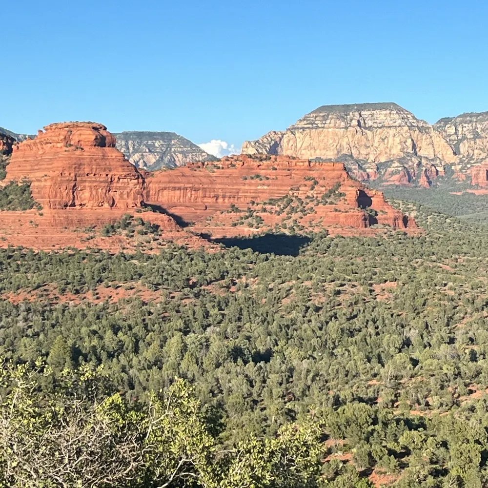 wrgo.bsky.social's profile picture