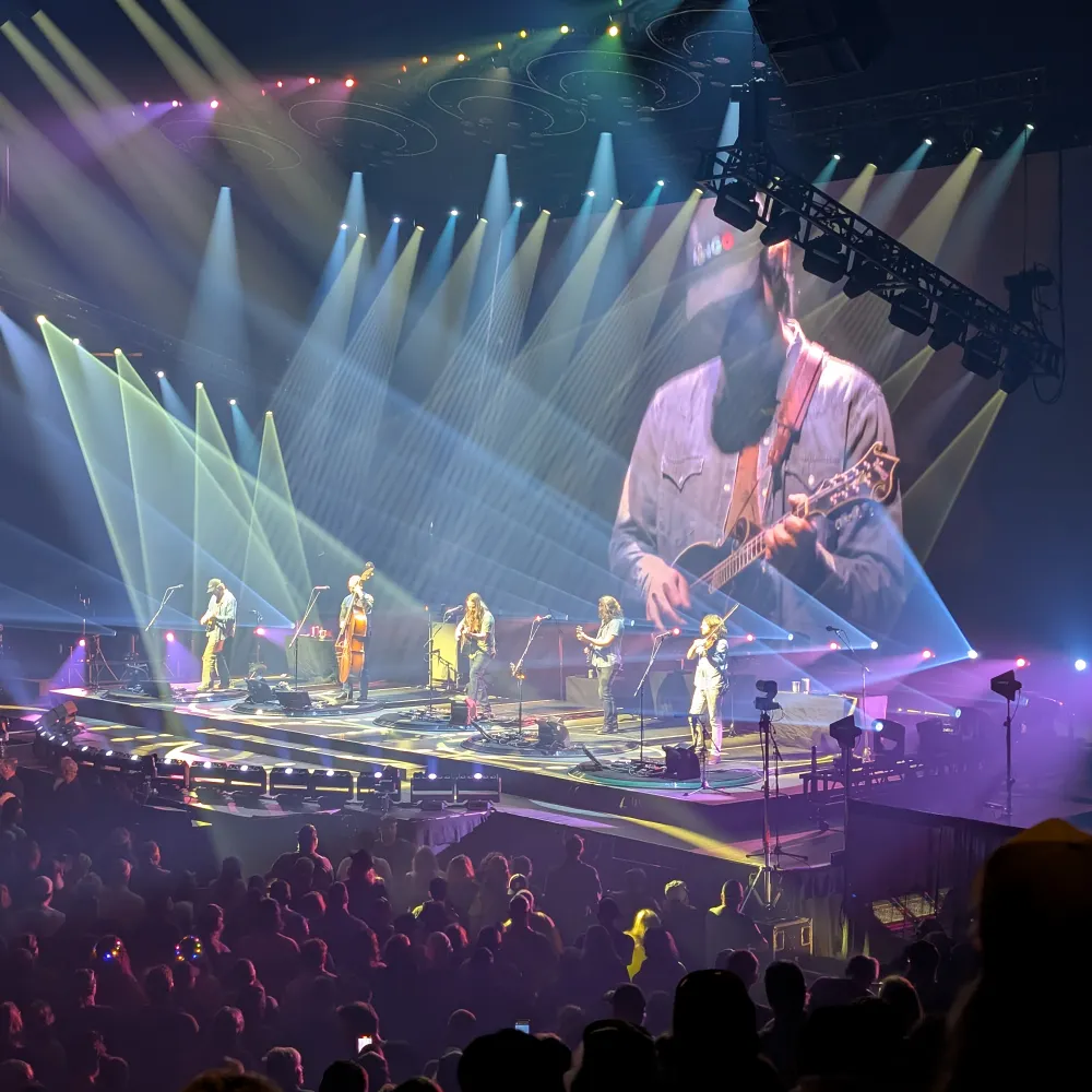 dunt1.bsky.social's profile picture