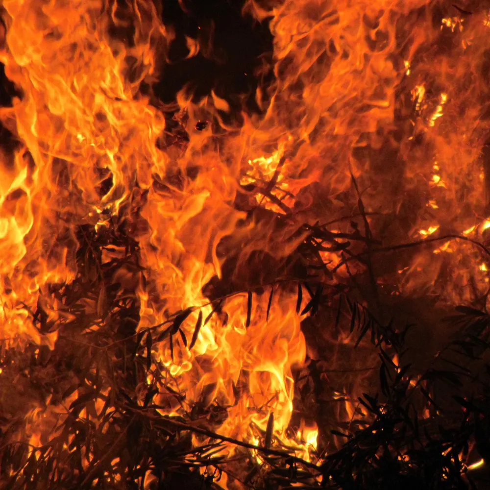 lorevf.bsky.social's profile picture