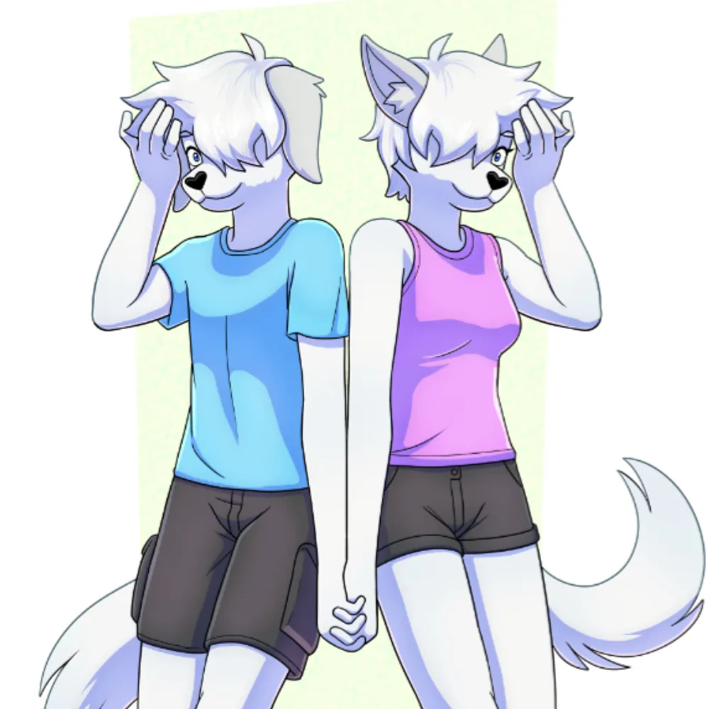 tomomomomomono.bsky.social's profile picture