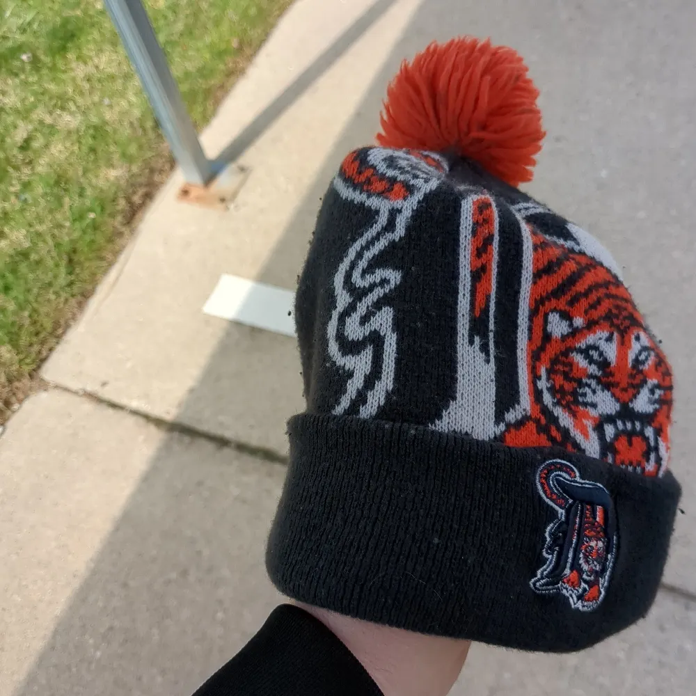 wingador.bsky.social's profile picture