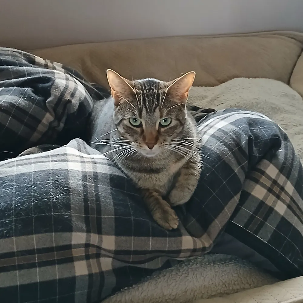 steventday.bsky.social's profile picture