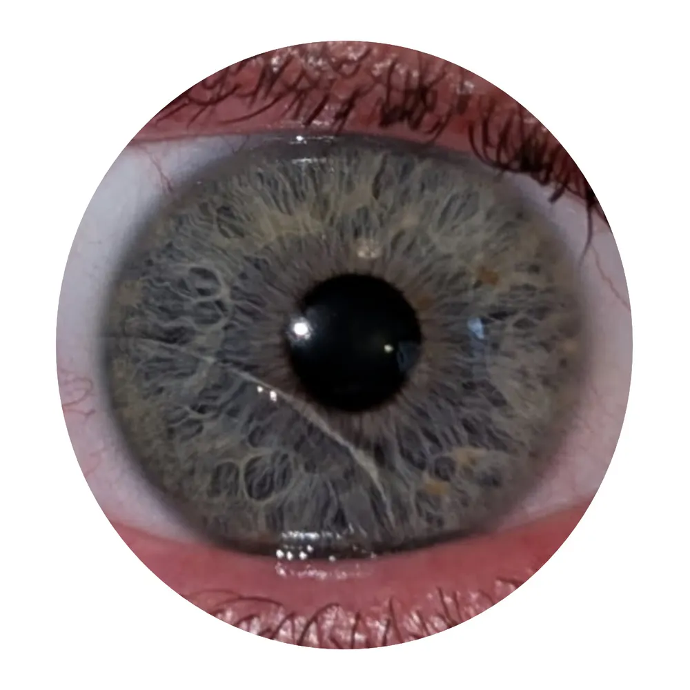 cleverage.bsky.social's profile picture