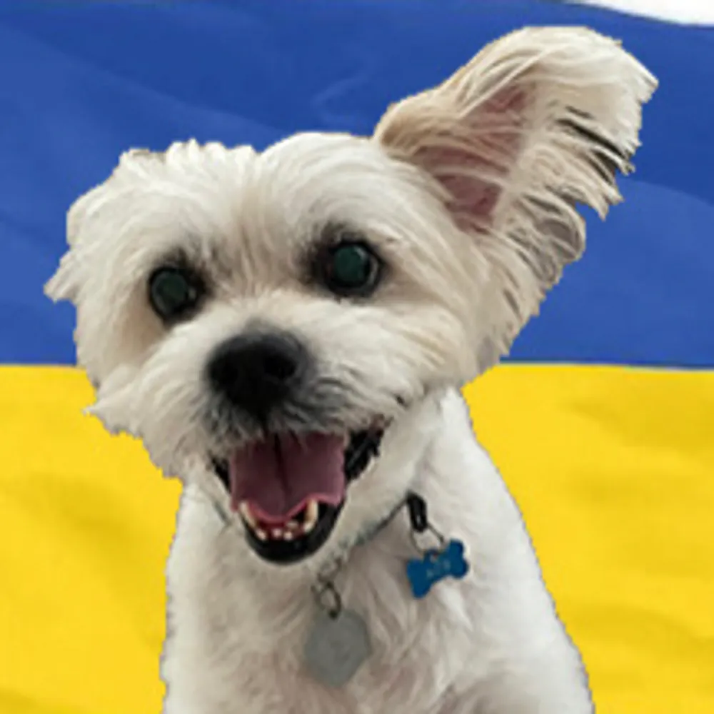 badcyclist.bsky.social's profile picture