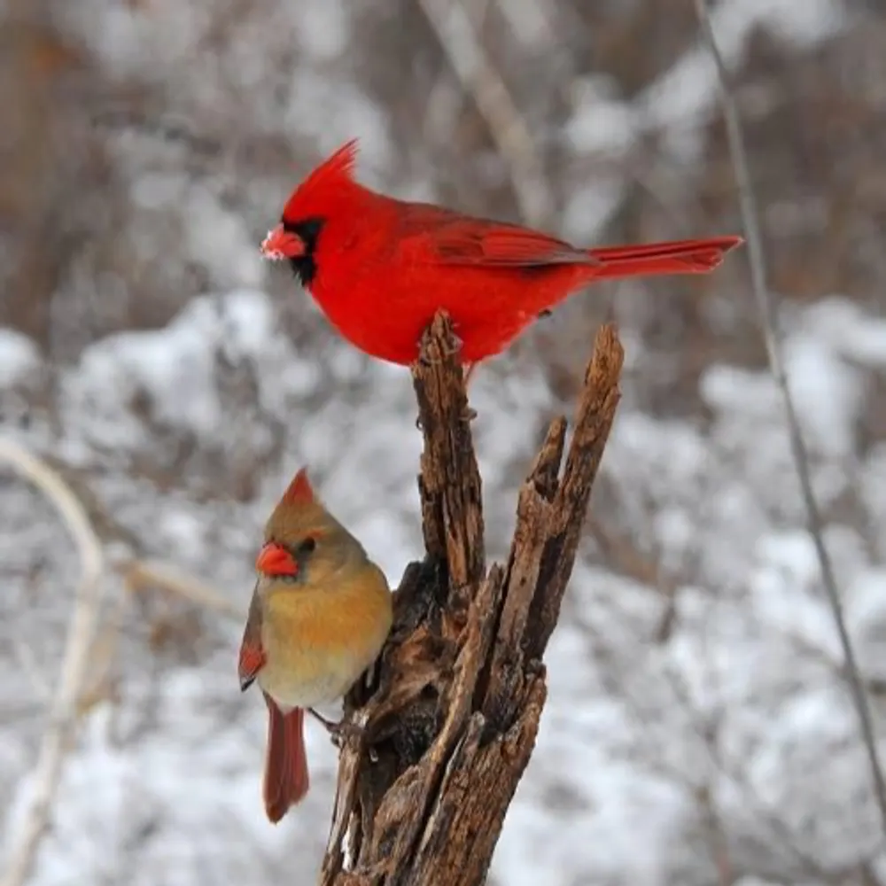 enja1949.bsky.social's profile picture