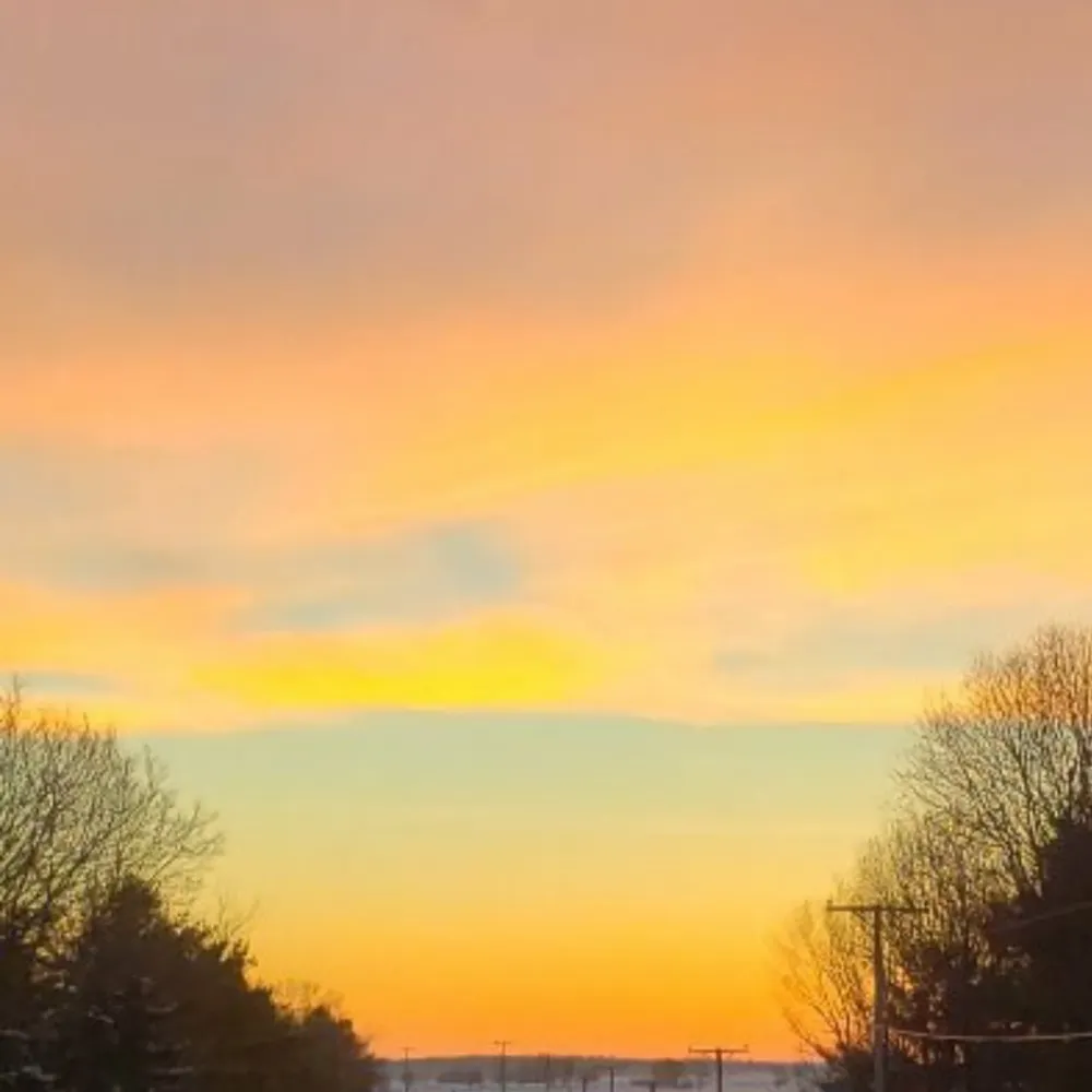 billypilgrim26.bsky.social's profile picture