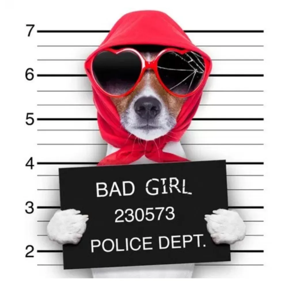 whyisthat.bsky.social's profile picture