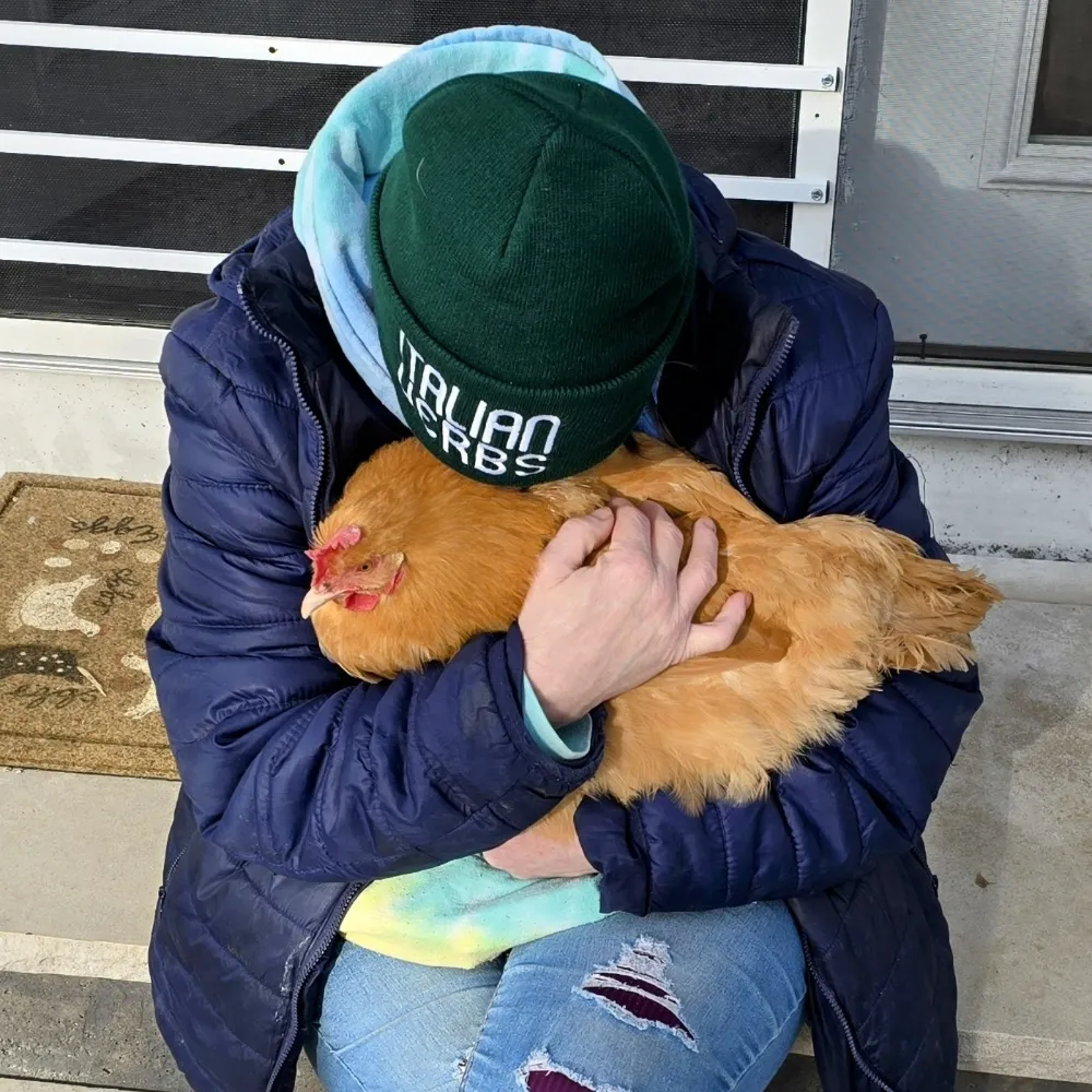 catcresswell.bsky.social's profile picture