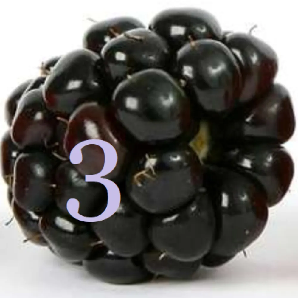 juicyb3rry.bsky.social's profile picture