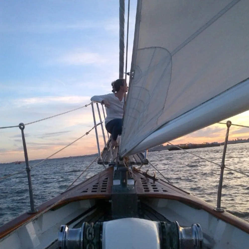 cathygee.bsky.social's profile picture