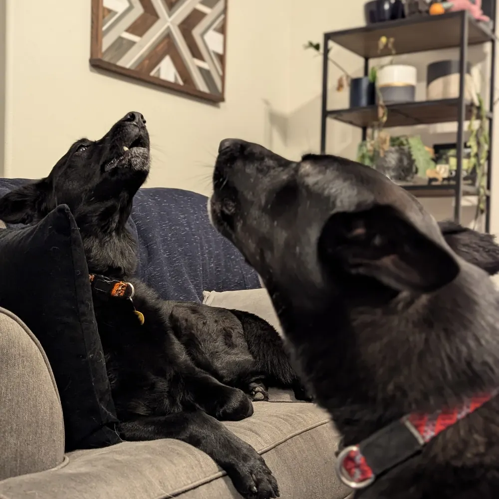 ammartin.bsky.social's profile picture