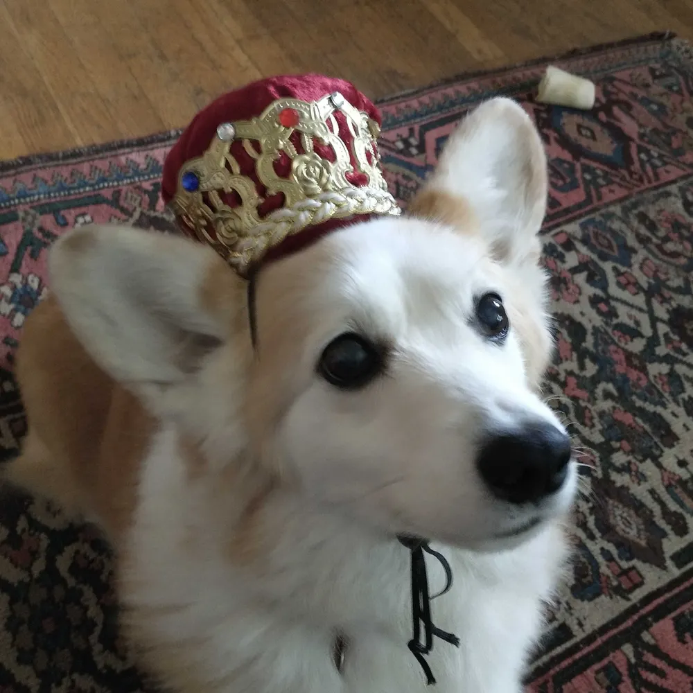 wendover.bsky.social's profile picture