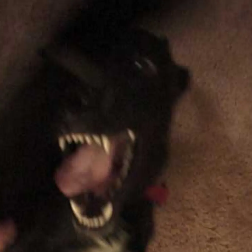 redshirtdude.bsky.social's profile picture