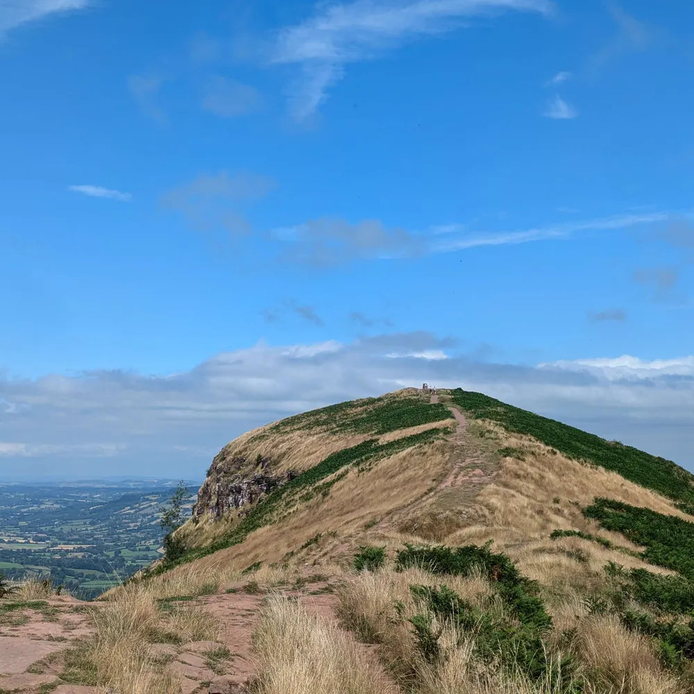 tomadam.bsky.social's profile picture