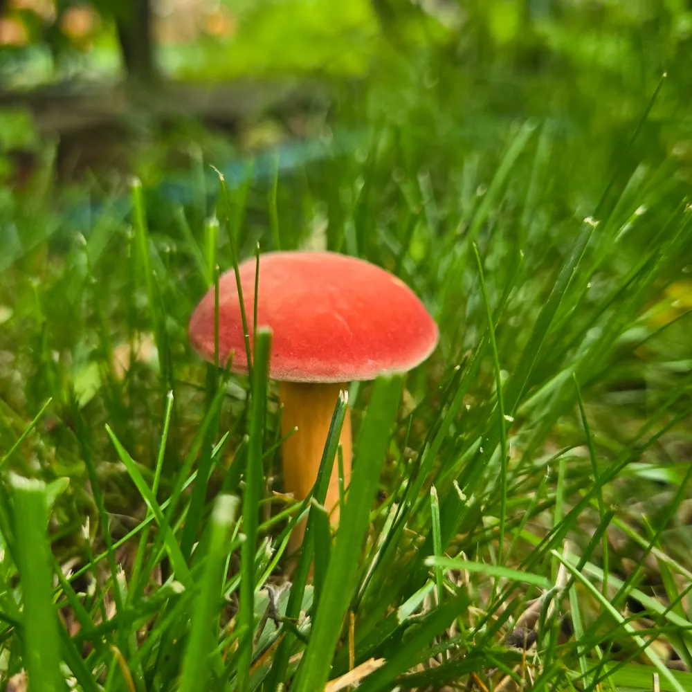 lamama007.bsky.social's profile picture