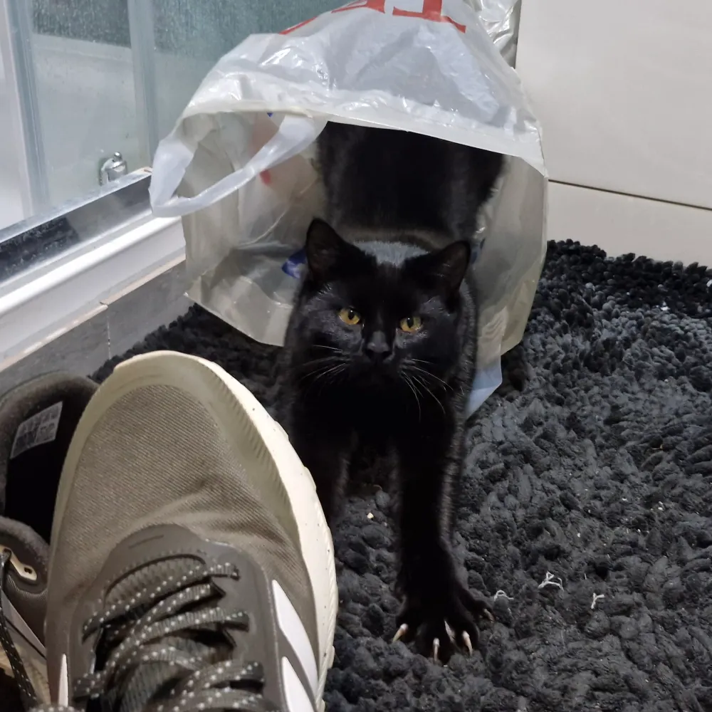 true-man.bsky.social's profile picture