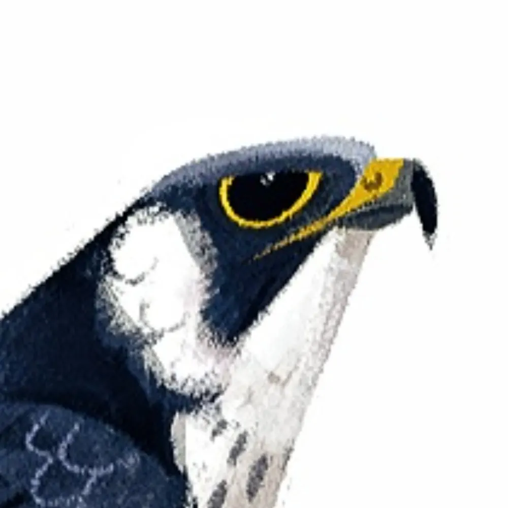 rfskia.bsky.social's profile picture