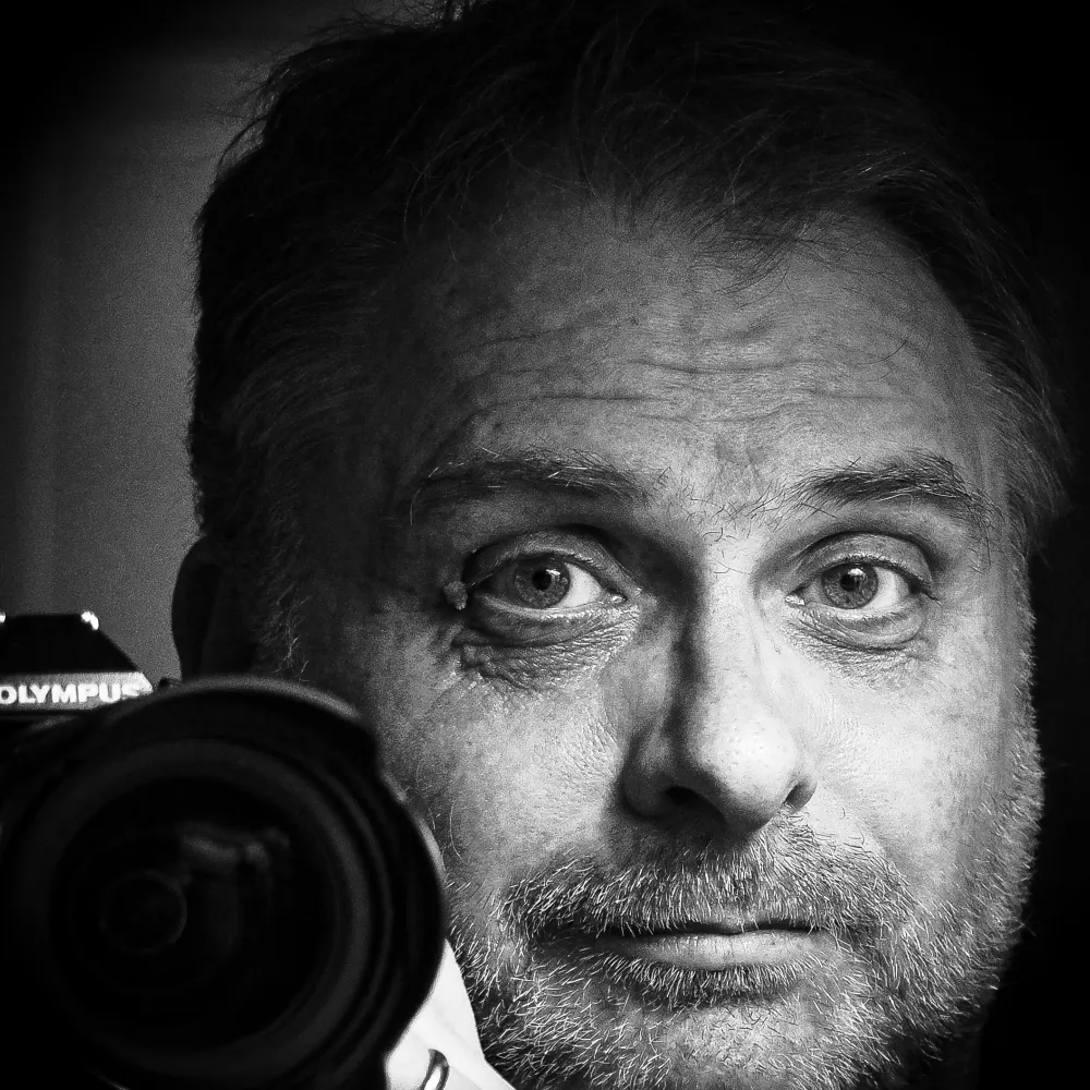 ndixon.bsky.social's profile picture