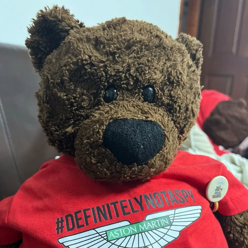 codsybear.bsky.social's profile picture