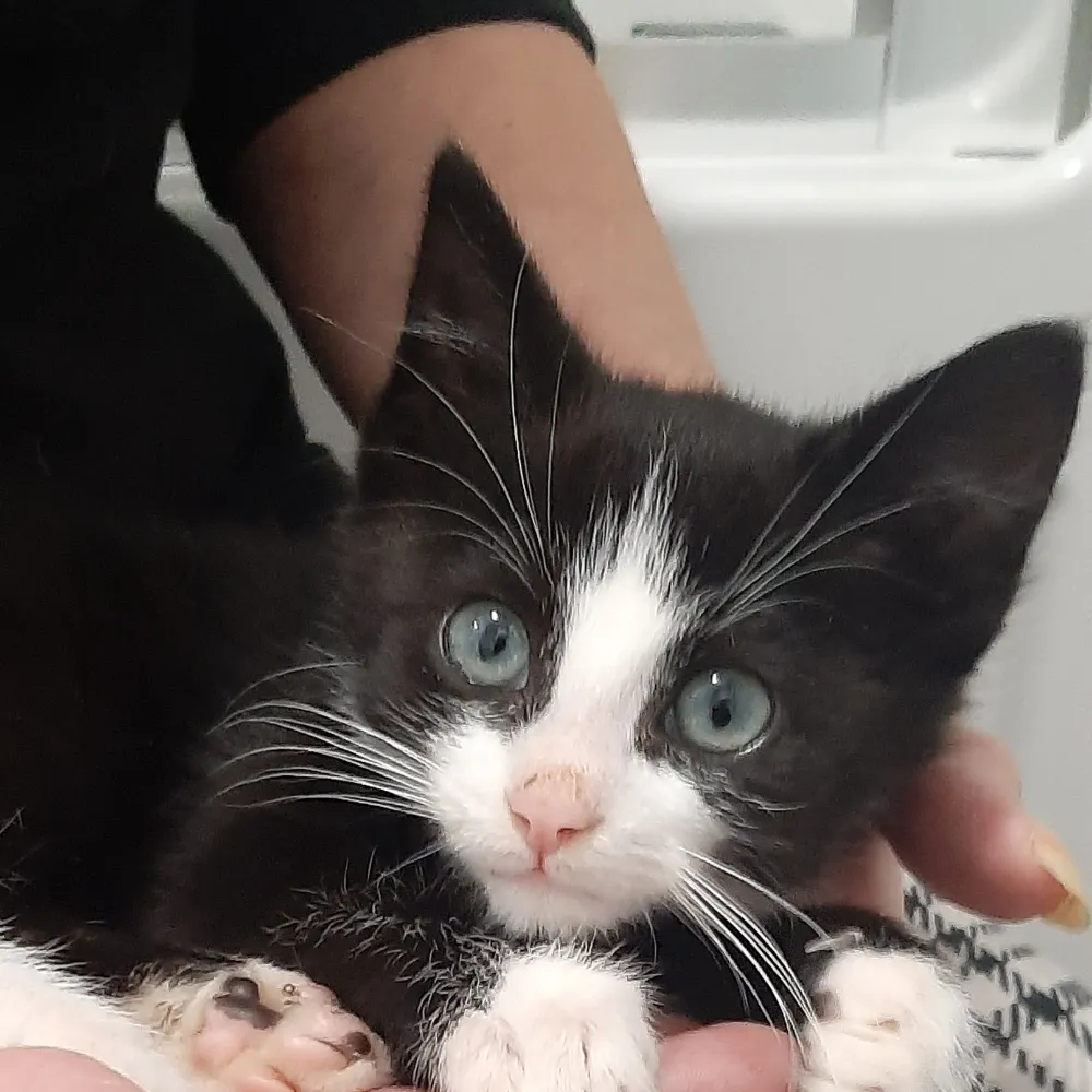 drwitt.bsky.social's profile picture