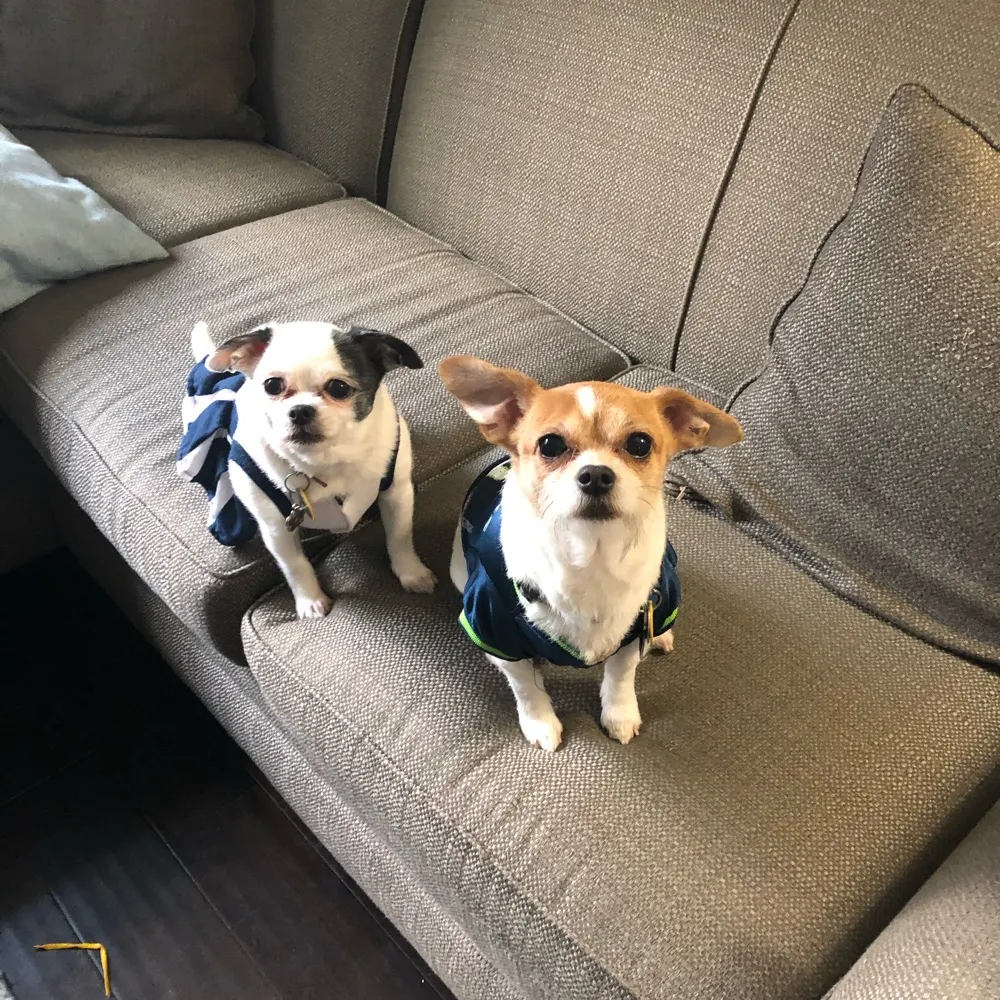 hrdiehl.bsky.social's profile picture