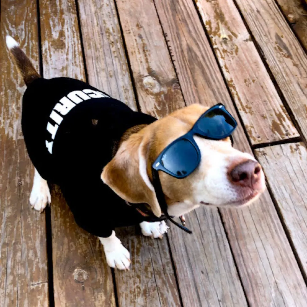 rinklevanwinkle.bsky.social's profile picture