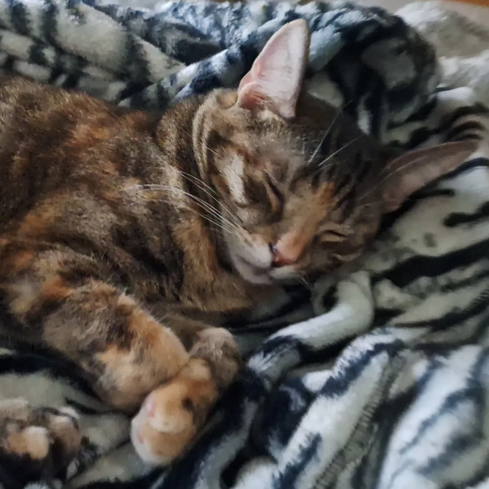 jmeyer24.bsky.social's profile picture