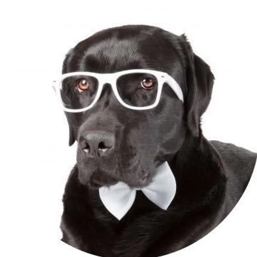 opinionatedlab.bsky.social's profile picture