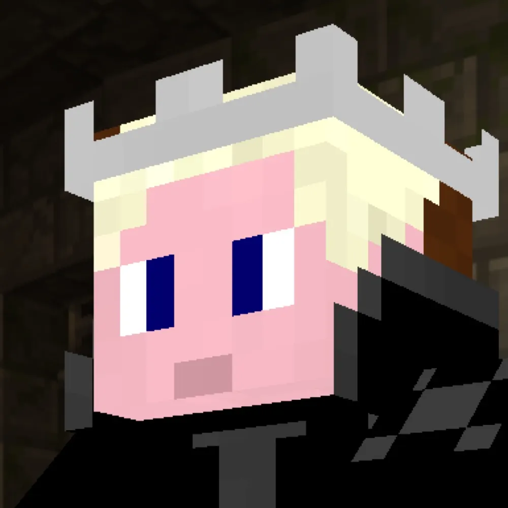 kingcraftcrft.bsky.social's profile picture