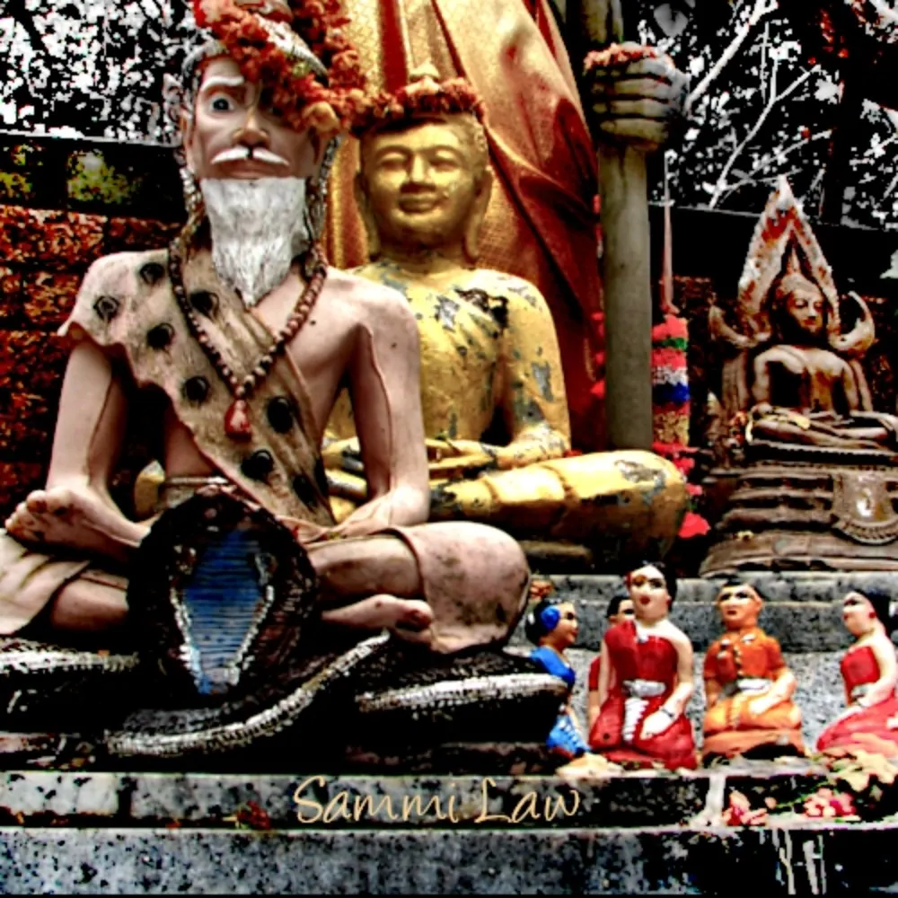 sammilaw.bsky.social's profile picture