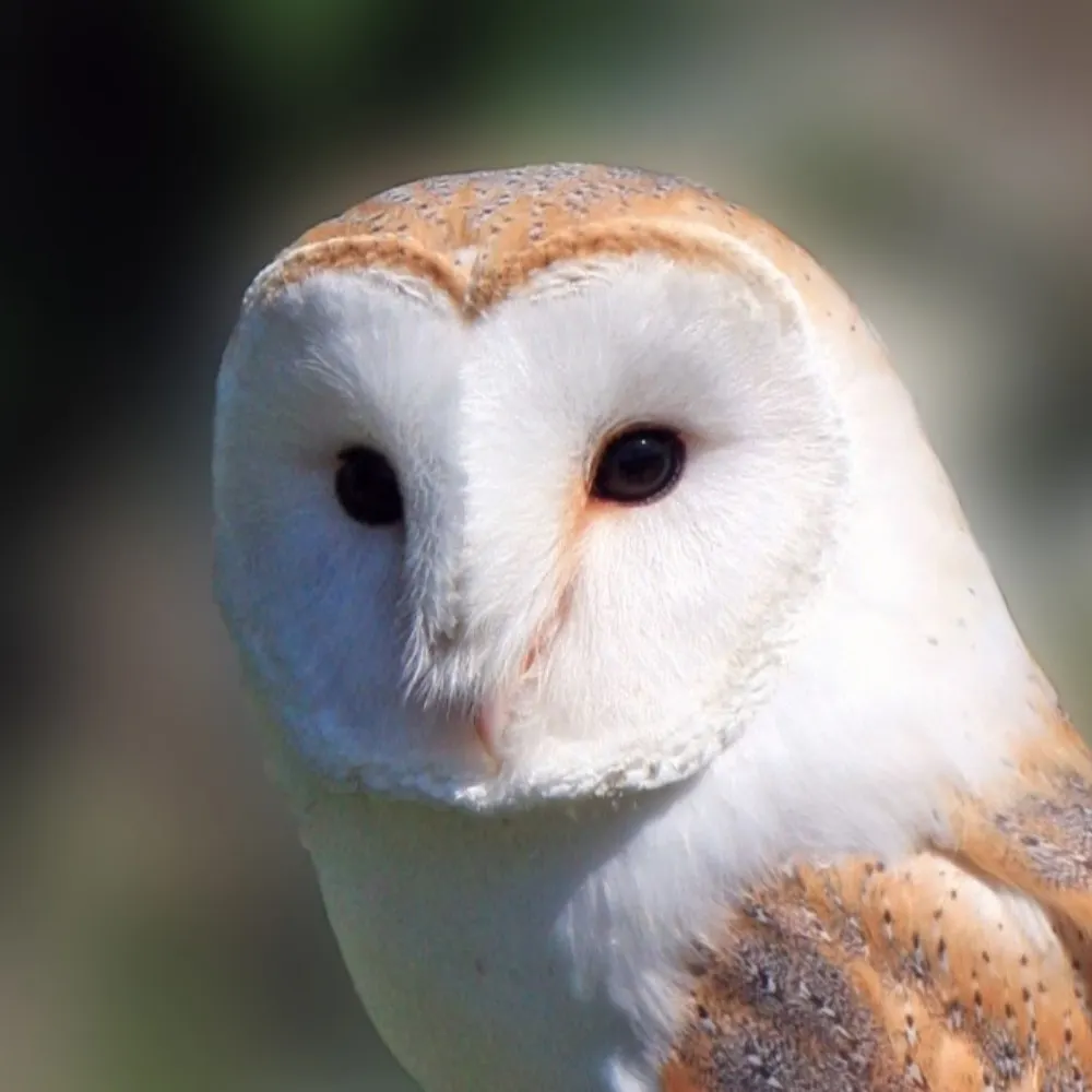 marketdoctor.bsky.social's profile picture