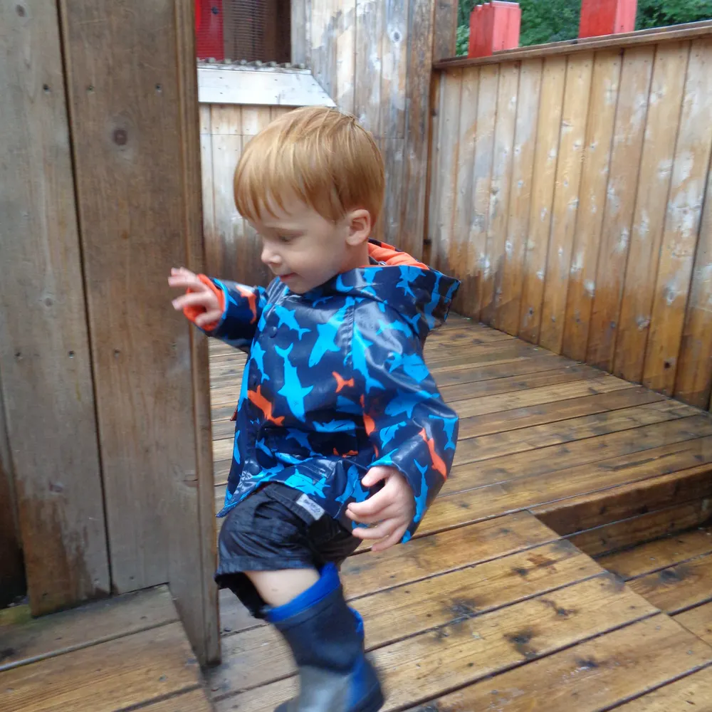 hollygarbutt.bsky.social's profile picture