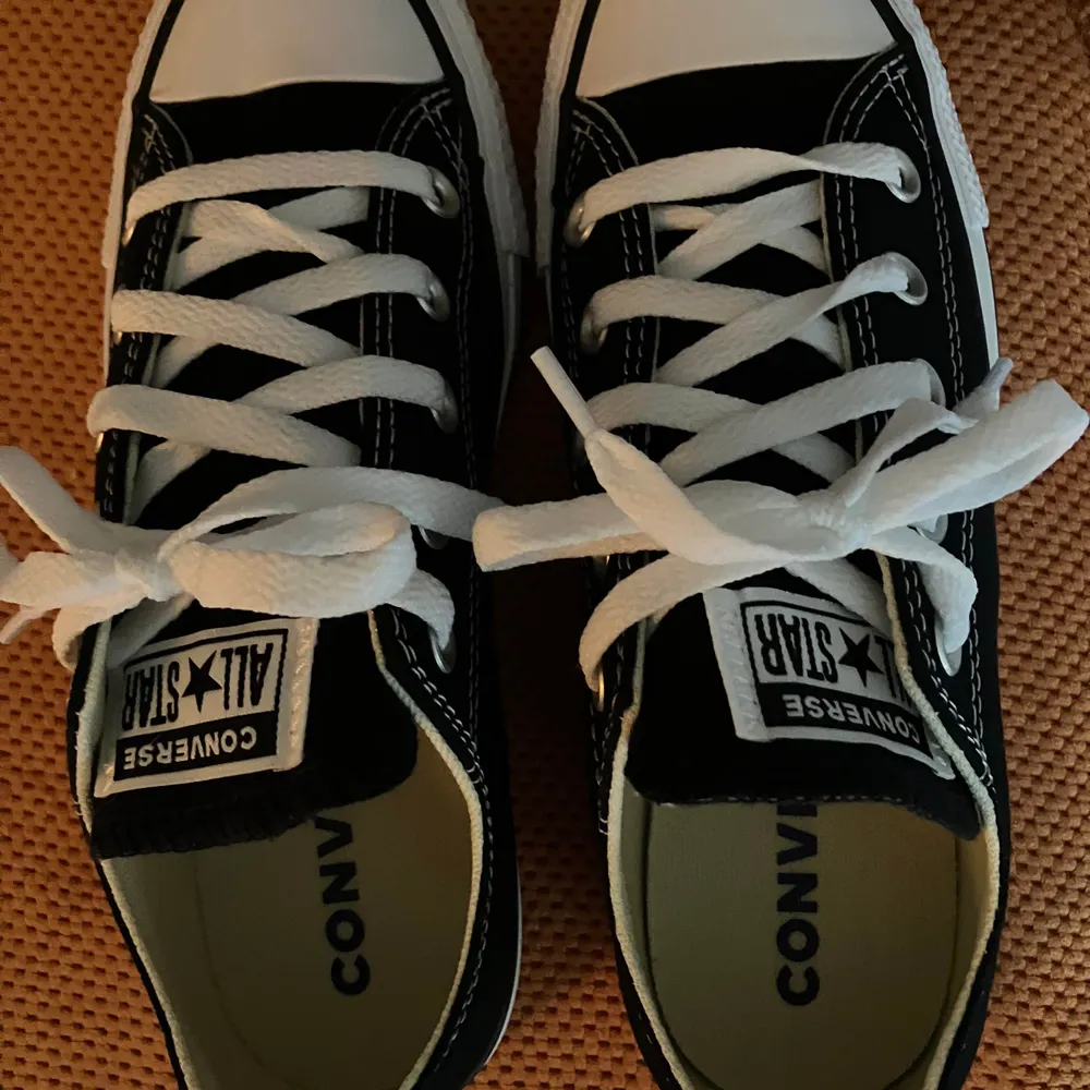 raittafan.bsky.social's profile picture