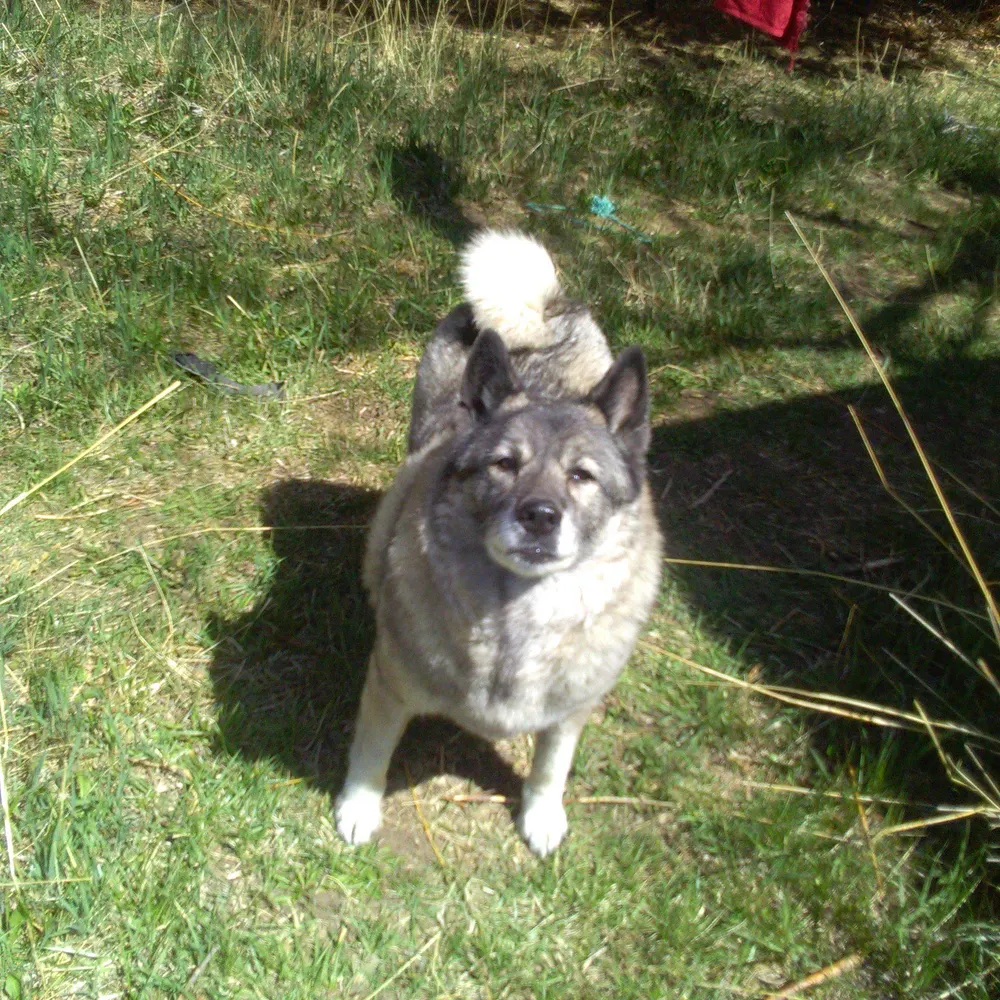 raygina.bsky.social's profile picture